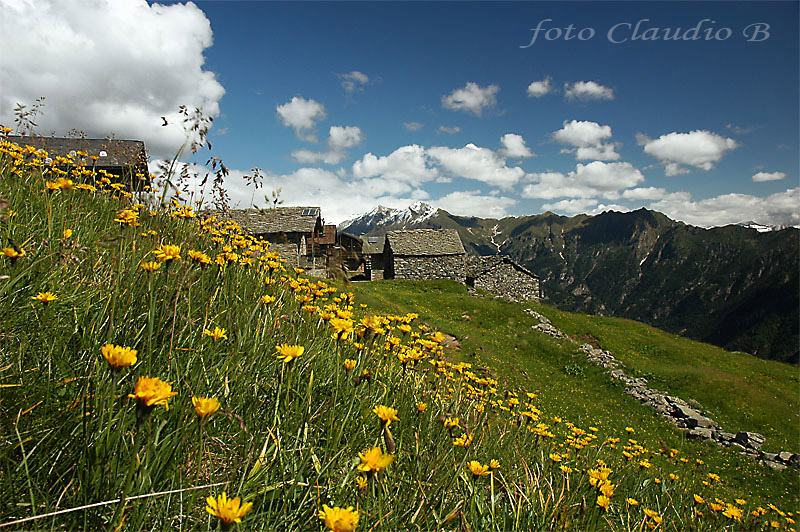 Malghe d''Italia..........